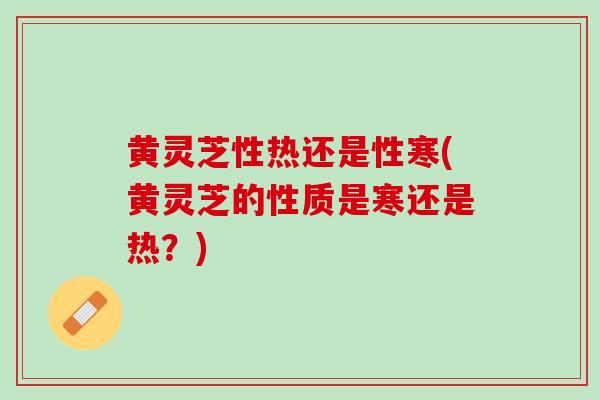 黄灵芝性热还是性寒(黄灵芝的性质是寒还是热?) 黄灵芝性热还是性寒(黄灵芝的性质是寒还是热?)