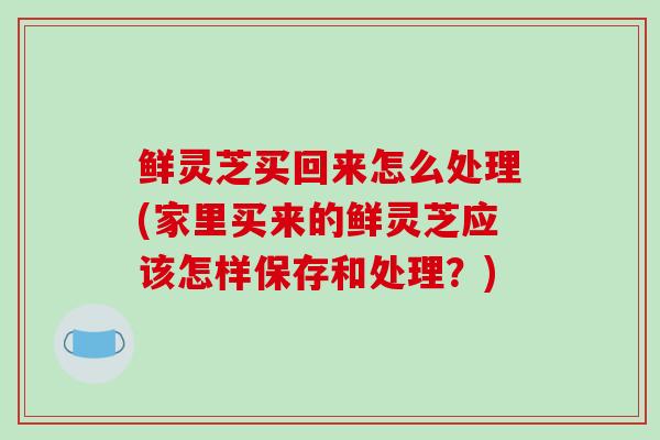 鲜灵芝买回来怎么处理(家里买来的鲜灵芝应该怎样保存和处理?) 鲜灵芝买回来怎么处理(家里买来的鲜灵芝应该怎样保存和处理?)