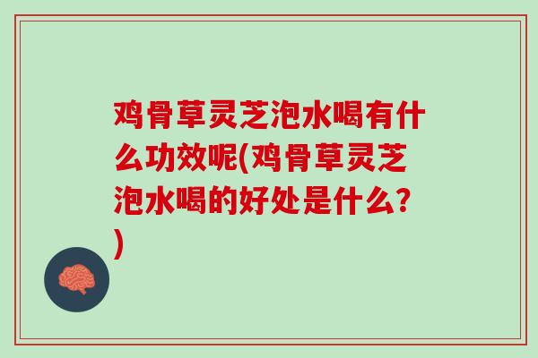 鸡骨草灵芝泡水喝有什么功效呢(鸡骨草灵芝泡水喝的好处是什么?) 鸡骨草灵芝泡水喝有什么功效呢(鸡骨草灵芝泡水喝的好处是什么?)
