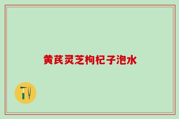 黄芪灵芝枸杞子泡水 黄芪灵芝枸杞子泡水