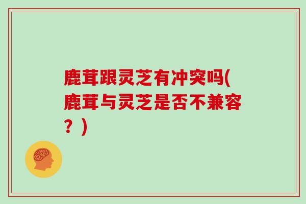 鹿茸跟灵芝有冲突吗(鹿茸与灵芝是否不兼容?) 鹿茸跟灵芝有冲突吗(鹿茸与灵芝是否不兼容?)