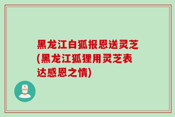 黑龙江白狐报恩送灵芝(黑龙江狐狸用灵芝表达感恩之情) 黑龙江白狐报恩送灵芝(黑龙江狐狸用灵芝表达感恩之情)