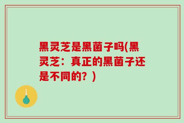 黑灵芝是黑菌子吗(黑灵芝:真正的黑菌子还是不同的?) 黑灵芝是黑菌子吗(黑灵芝:真正的黑菌子还是不同的?)