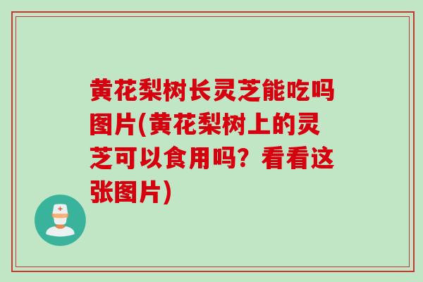 黄花梨树长灵芝能吃吗图片(黄花梨树上的灵芝可以食用吗?看看这张图片) 黄花梨树长灵芝能吃吗图片(黄花梨树上的灵芝可以食用吗?看看这张图片)