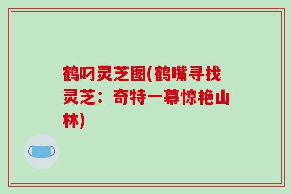 鹤叼灵芝图(鹤嘴寻找灵芝:奇特一幕惊艳山林) 鹤叼灵芝图(鹤嘴寻找灵芝:奇特一幕惊艳山林)
