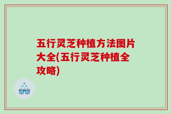 五行灵芝种植方法图片大全(五行灵芝种植全攻略) 五行灵芝种植方法图片大全(五行灵芝种植全攻略)