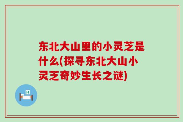 东北大山里的小灵芝是什么(探寻东北大山小灵芝奇妙生长之谜) 东北大山里的小灵芝是什么(探寻东北大山小灵芝奇妙生长之谜)