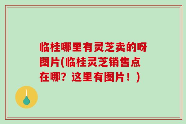 临桂哪里有灵芝卖的呀图片(临桂灵芝销售点在哪？这里有图片！)