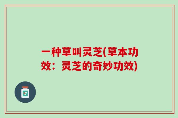 一种草叫灵芝(草本功效:灵芝的奇妙功效) 一种草叫灵芝(草本功效:灵芝的奇妙功效)