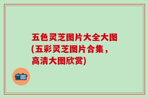 五色灵芝图片大全大图(五彩灵芝图片合集,高清大图欣赏) 五色灵芝图片大全大图(五彩灵芝图片合集,高清大图欣赏)
