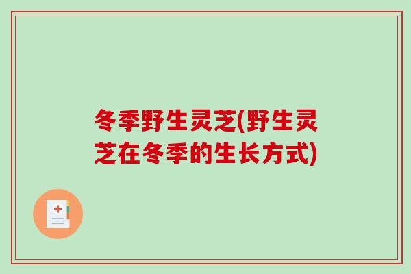 冬季野生灵芝(野生灵芝在冬季的生长方式) 冬季野生灵芝(野生灵芝在冬季的生长方式)