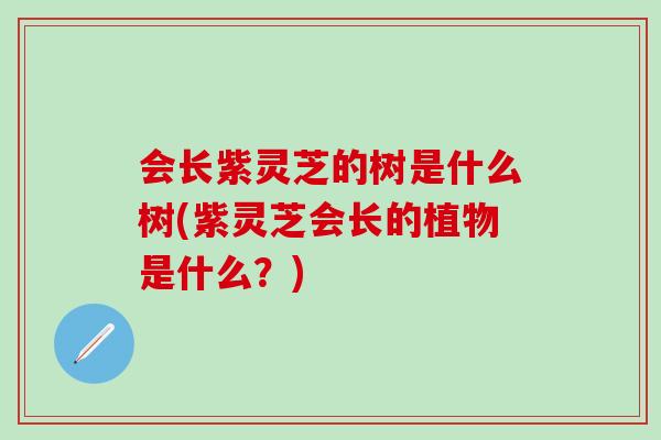会长紫灵芝的树是什么树(紫灵芝会长的植物是什么?) 会长紫灵芝的树是什么树(紫灵芝会长的植物是什么?)
