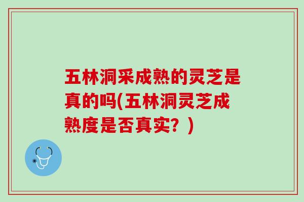 五林洞采成熟的灵芝是真的吗(五林洞灵芝成熟度是否真实？)