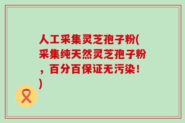 人工采集灵芝孢子粉(采集纯天然灵芝孢子粉,百分百保证无污染!) 人工采集灵芝孢子粉(采集纯天然灵芝孢子粉,百分百保证无污染!)