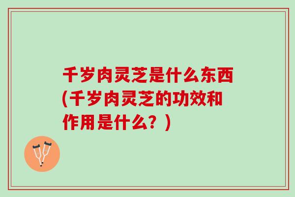 千岁肉灵芝是什么东西(千岁肉灵芝的功效和作用是什么？)