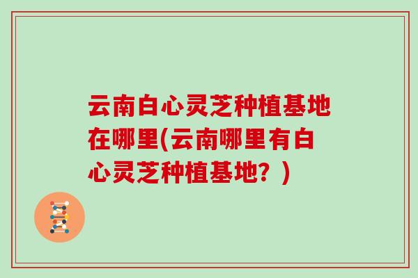 云南白心灵芝种植基地在哪里(云南哪里有白心灵芝种植基地?) 云南白心灵芝种植基地在哪里(云南哪里有白心灵芝种植基地?)