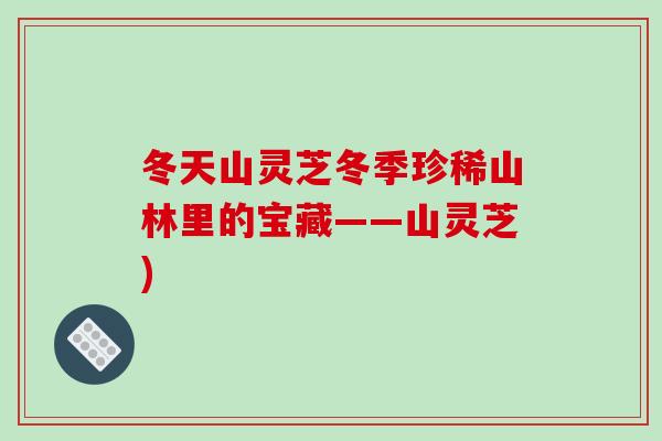 冬天山灵芝冬季珍稀山林里的宝藏——山灵芝) 冬天山灵芝冬季珍稀山林里的宝藏——山灵芝)