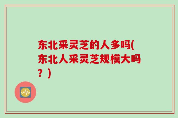 东北采灵芝的人多吗(东北人采灵芝规模大吗？)