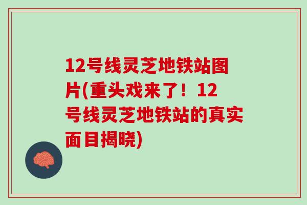 12号线灵芝地铁站图片(重头戏来了！12号线灵芝地铁站的真实面目揭晓)