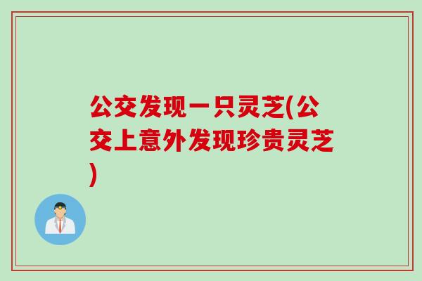 公交发现一只灵芝(公交上意外发现珍贵灵芝) 公交发现一只灵芝(公交上意外发现珍贵灵芝)