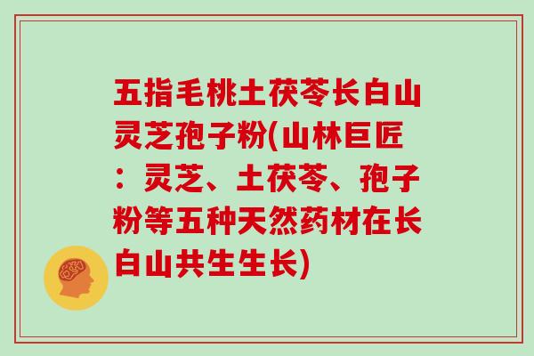 五指毛桃土茯苓长白山灵芝孢子粉(山林巨匠:灵芝、土茯苓、孢子粉等五种天然药材在长白山共生生长) 五指毛桃土茯苓长白山灵芝孢子粉(山林巨匠:灵芝、土茯苓、孢子粉等五种天然药材在长白山共生生长)