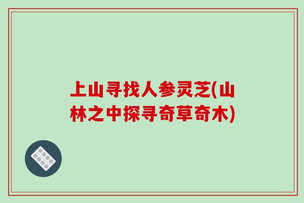 上山寻找人参灵芝(山林之中探寻奇草奇木) 上山寻找人参灵芝(山林之中探寻奇草奇木)