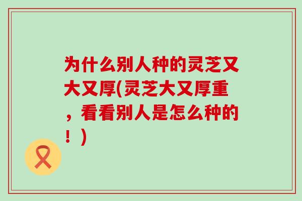为什么别人种的灵芝又大又厚(灵芝大又厚重,看看别人是怎么种的!) 为什么别人种的灵芝又大又厚(灵芝大又厚重,看看别人是怎么种的!)