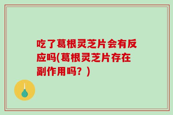 吃了葛根灵芝片会有反应吗(葛根灵芝片存在副作用吗?) 吃了葛根灵芝片会有反应吗(葛根灵芝片存在副作用吗?)