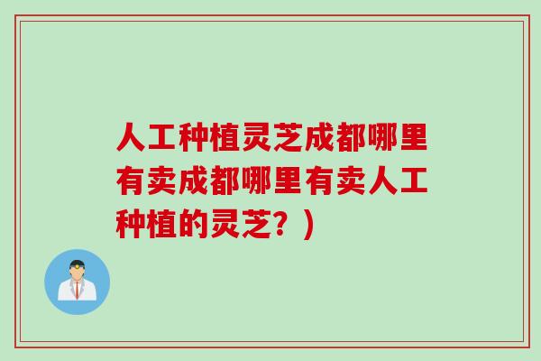人工种植灵芝成都哪里有卖成都哪里有卖人工种植的灵芝?) 人工种植灵芝成都哪里有卖成都哪里有卖人工种植的灵芝?)