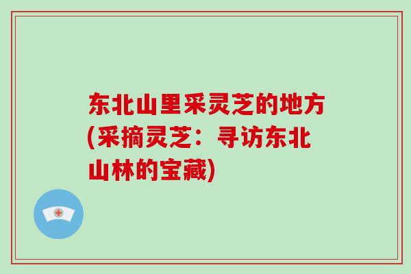 东北山里采灵芝的地方(采摘灵芝:寻访东北山林的宝藏) 东北山里采灵芝的地方(采摘灵芝:寻访东北山林的宝藏)