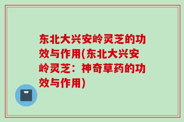 东北大兴安岭灵芝的功效与作用(东北大兴安岭灵芝:神奇草药的功效与作用) 东北大兴安岭灵芝的功效与作用(东北大兴安岭灵芝:神奇草药的功效与作用)