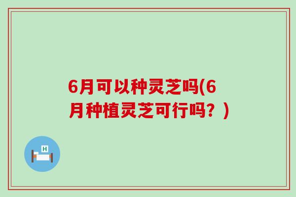 6月可以种灵芝吗(6月种植灵芝可行吗？)