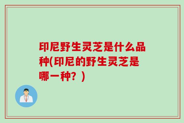 印尼野生灵芝是什么品种(印尼的野生灵芝是哪一种?) 印尼野生灵芝是什么品种(印尼的野生灵芝是哪一种?)
