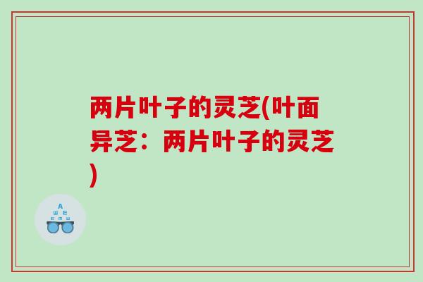两片叶子的灵芝(叶面异芝:两片叶子的灵芝) 两片叶子的灵芝(叶面异芝:两片叶子的灵芝)