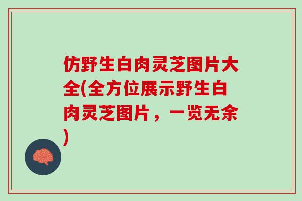 仿野生白肉灵芝图片大全(全方位展示野生白肉灵芝图片,一览无余) 仿野生白肉灵芝图片大全(全方位展示野生白肉灵芝图片,一览无余)