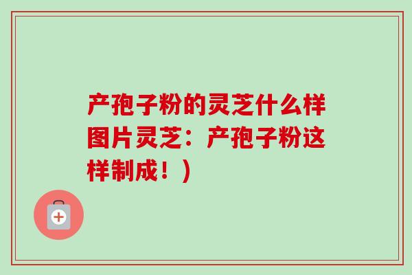 产孢子粉的灵芝什么样图片灵芝：产孢子粉这样制成！)