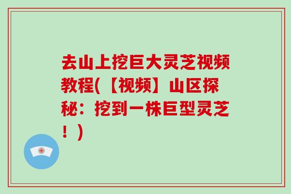 去山上挖巨大灵芝视频教程(【视频】山区探秘:挖到一株巨型灵芝!) 去山上挖巨大灵芝视频教程(【视频】山区探秘:挖到一株巨型灵芝!)