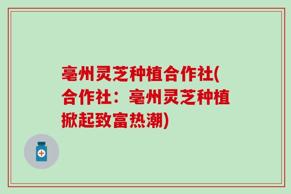 亳州灵芝种植合作社(合作社:亳州灵芝种植掀起致富热潮) 亳州灵芝种植合作社(合作社:亳州灵芝种植掀起致富热潮)