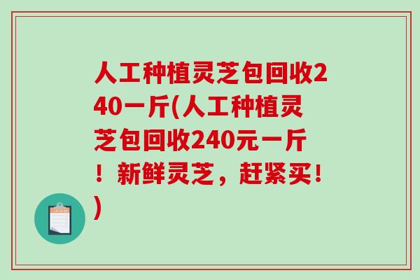 人工种植灵芝包回收240一斤(人工种植灵芝包回收240元一斤!新鲜灵芝,赶紧买!) 人工种植灵芝包回收240一斤(人工种植灵芝包回收240元一斤!新鲜灵芝,赶紧买!)