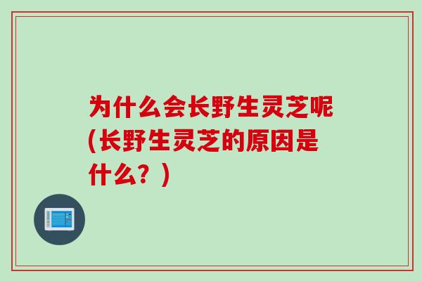 为什么会长野生灵芝呢(长野生灵芝的原因是什么?) 为什么会长野生灵芝呢(长野生灵芝的原因是什么?)