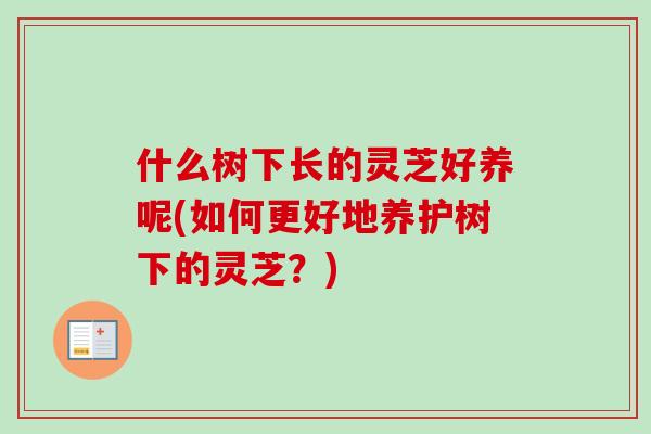 什么树下长的灵芝好养呢(如何更好地养护树下的灵芝？)