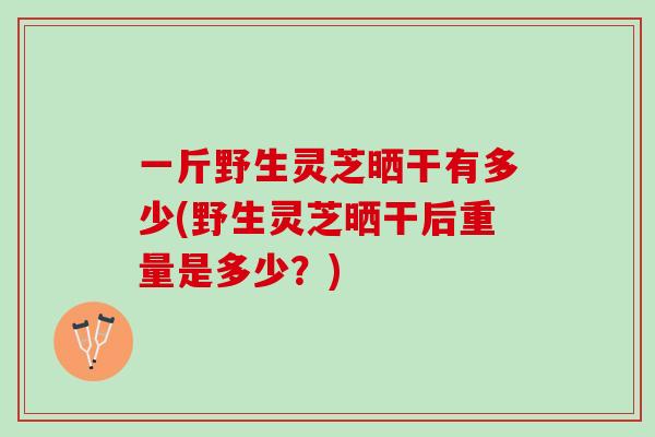 一斤野生灵芝晒干有多少(野生灵芝晒干后重量是多少?) 一斤野生灵芝晒干有多少(野生灵芝晒干后重量是多少?)