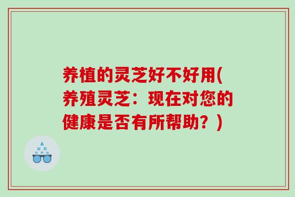 养植的灵芝好不好用(养殖灵芝:现在对您的健康是否有所帮助?) 养植的灵芝好不好用(养殖灵芝:现在对您的健康是否有所帮助?)