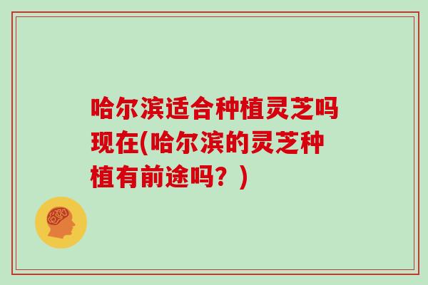 哈尔滨适合种植灵芝吗现在(哈尔滨的灵芝种植有前途吗?) 哈尔滨适合种植灵芝吗现在(哈尔滨的灵芝种植有前途吗?)
