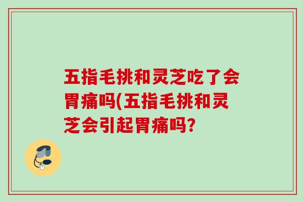 五指毛挑和灵芝吃了会胃痛吗(五指毛挑和灵芝会引起胃痛吗？