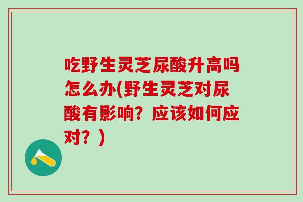 吃野生灵芝尿酸升高吗怎么办(野生灵芝对尿酸有影响?应该如何应对?) 吃野生灵芝尿酸升高吗怎么办(野生灵芝对尿酸有影响?应该如何应对?)
