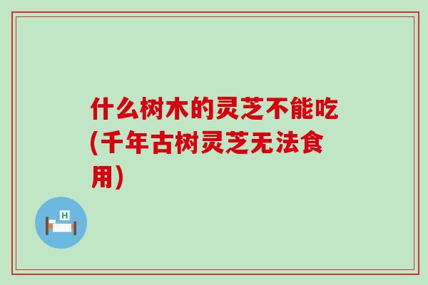 什么树木的灵芝不能吃(千年古树灵芝无法食用) 什么树木的灵芝不能吃(千年古树灵芝无法食用)