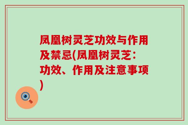 凤凰树灵芝功效与作用及禁忌(凤凰树灵芝:功效、作用及注意事项) 凤凰树灵芝功效与作用及禁忌(凤凰树灵芝:功效、作用及注意事项)
