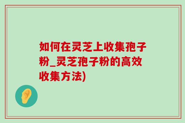 如何在灵芝上收集孢子粉_灵芝孢子粉的高效收集方法) 如何在灵芝上收集孢子粉_灵芝孢子粉的高效收集方法)