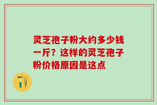 灵芝孢子粉大约多少钱一斤?这样的灵芝孢子粉价格原因是这点 灵芝孢子粉大约多少钱一斤?这样的灵芝孢子粉价格原因是这点